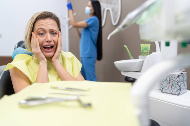 Best Walk-In Emergency Dentist in Churchill, PA